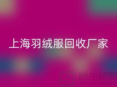 羽絨服回收：環保與經濟的雙重考量，上海廠家引領行業新風尚