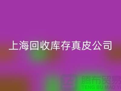 環保與創新:回收庫存真皮和羊皮的重要性_上海騰布貿易ShTengBu.com