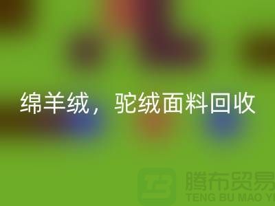 山羊絨回收,綿羊絨回收,駝絨面料回收——上海布料廠家的環保行動