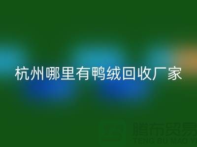 揭秘羽絨回收市場,每斤價值幾何?杭州鴨絨回收廠家