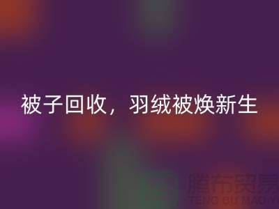 全新被子回收,羽絨被煥新生——江蘇南通家紡城引領(lǐng)綠色未來