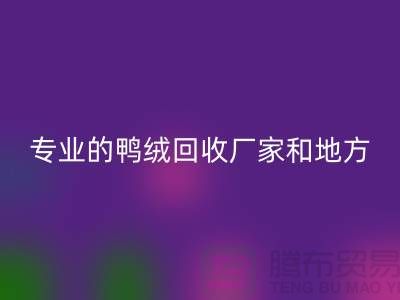 探索鴨絨回收:尋找上海專業的回收廠家與地方
