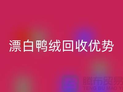 ### 純白90％鵝絨、漂白鴨絨回收優勢與南通鴨絨收購公司