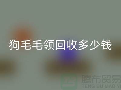 狗毛毛領回收多少錢一條