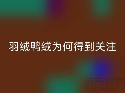 羽絨鴨絨回收公司為何得到所有人關注_上海騰布貿易有限公司