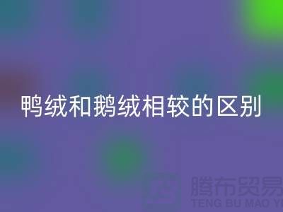 1738416100750560.png 6ded4f5460f3ecd89d849feeff3f4fe3_1.png