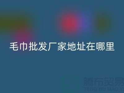 竹纖維毛巾批發(fā)廠家地址在哪里-上海騰布貿(mào)易