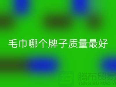 竹纖維毛巾哪個(gè)牌子質(zhì)量最好