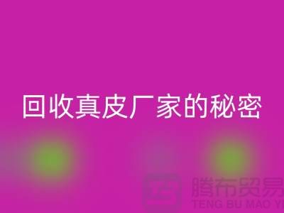 回收真皮廠家的秘密：打造環保時尚的循環經濟