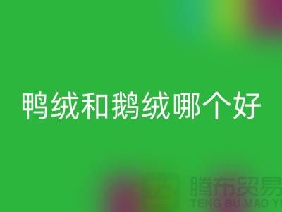 新國標(biāo)鴨絨和鵝絨哪個好