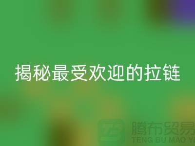 揭秘最受歡迎的拉鏈品牌排行榜，你知道嗎？
