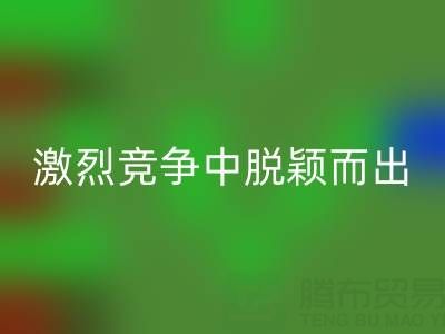 上海庫存布料回收市場:如何在激烈競爭中脫穎而出