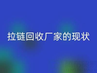拉鏈回收廠家背后的環保大數據:現狀與展望