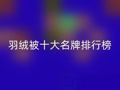 中國羽絨被十大名牌排行榜:權(quán)威盤點與選購指南