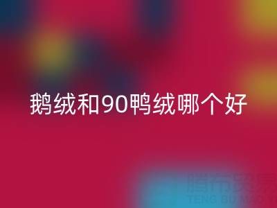 90白鵝絨和90鴨絨哪個好?羽絨生產(chǎn)廠家的深度解析
