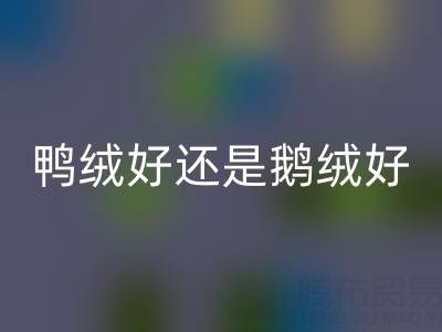 羽絨服是鴨絨好還是鵝絨好——羽絨生產(chǎn)廠家來解讀