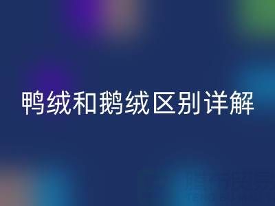 鴨絨和鵝絨區別詳解及羽絨收購資源指南